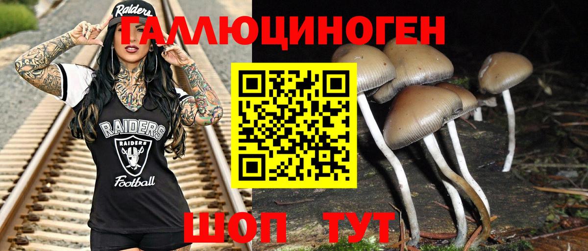Галлюциногенные грибы Magic Shrooms  Вход с VPN  цена   Реутов 