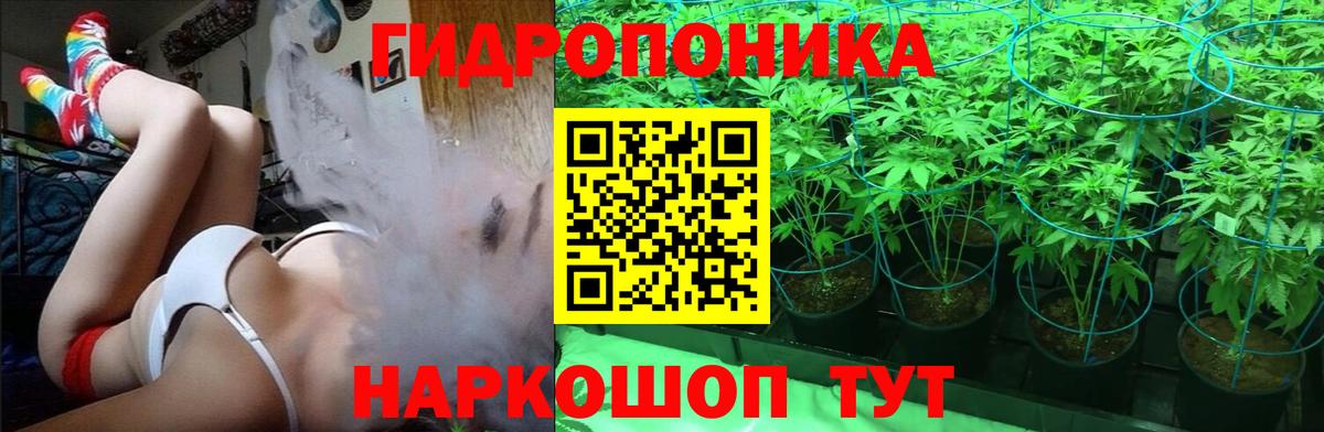Шишки марихуана конопля Реутов